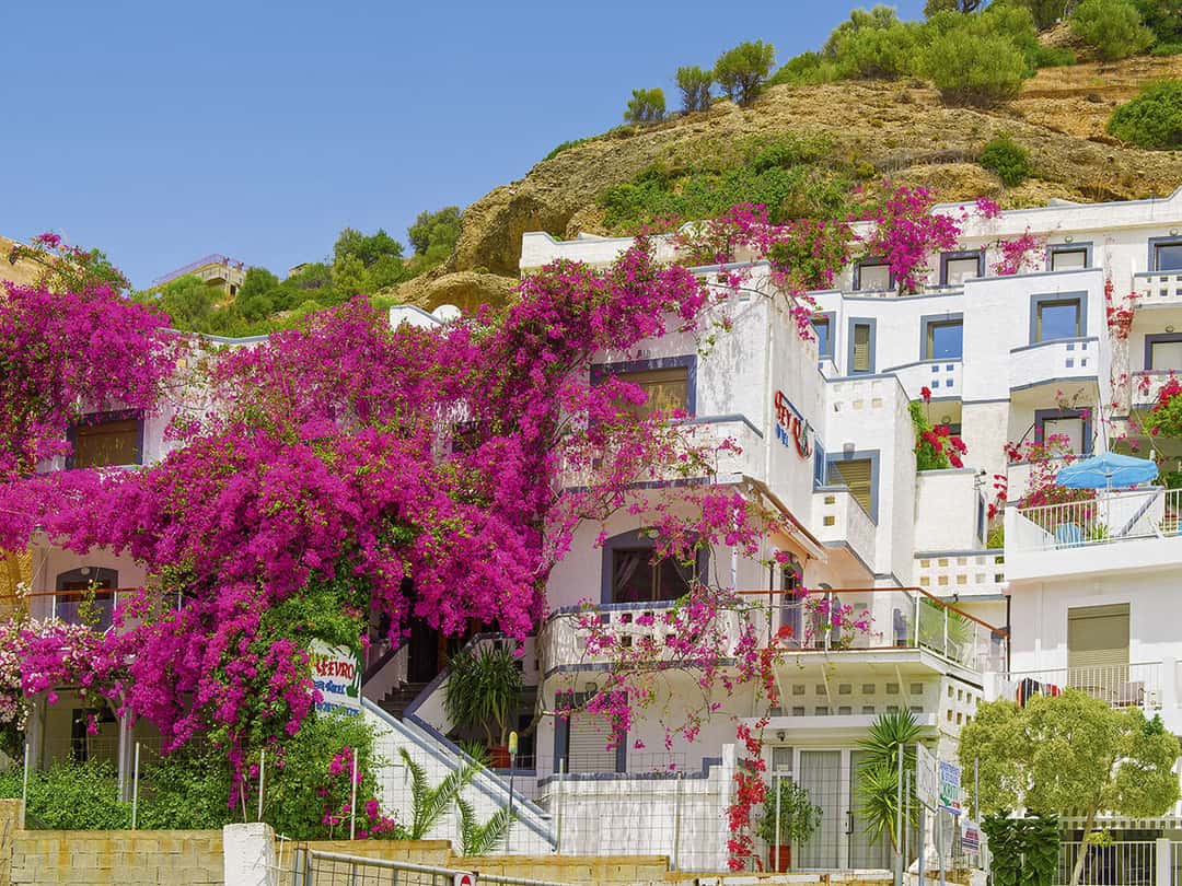 Hotel Fevro