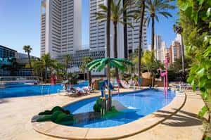 Flamingo Oasis