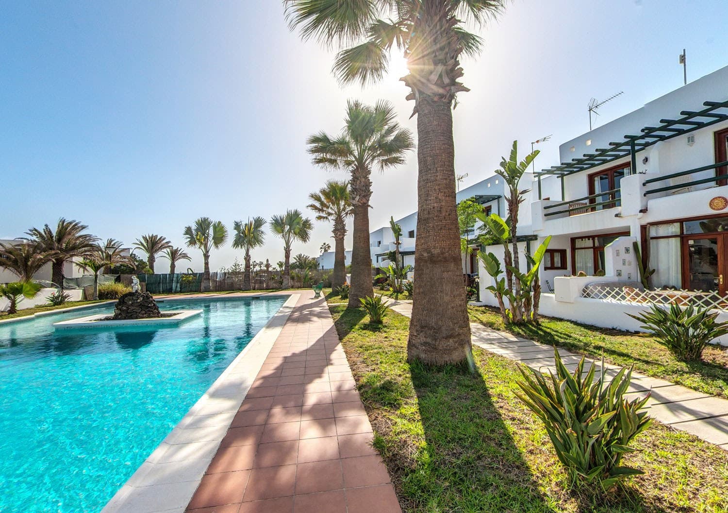 Charco del Palo - Seifio