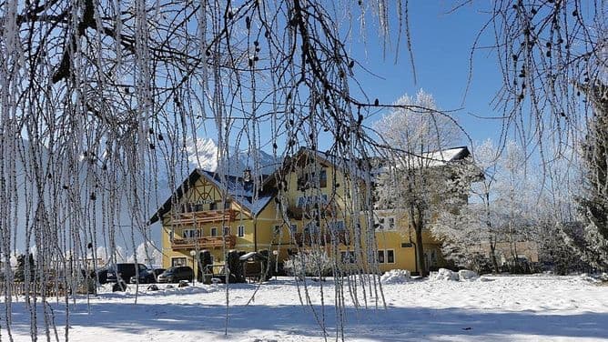 Hotel & Gasthof Schweizerhaus 8