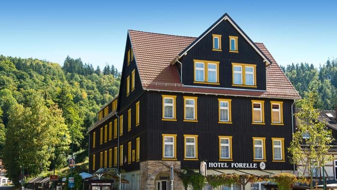 Ferien Hotel Forelle, foto 1