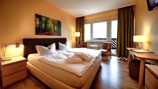 PANORAMA Hotel Oberwiesenthal 8