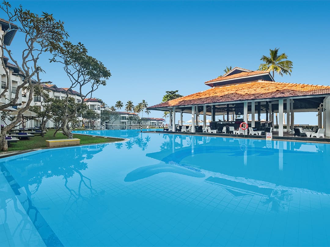 Club Dolphin, foto 1