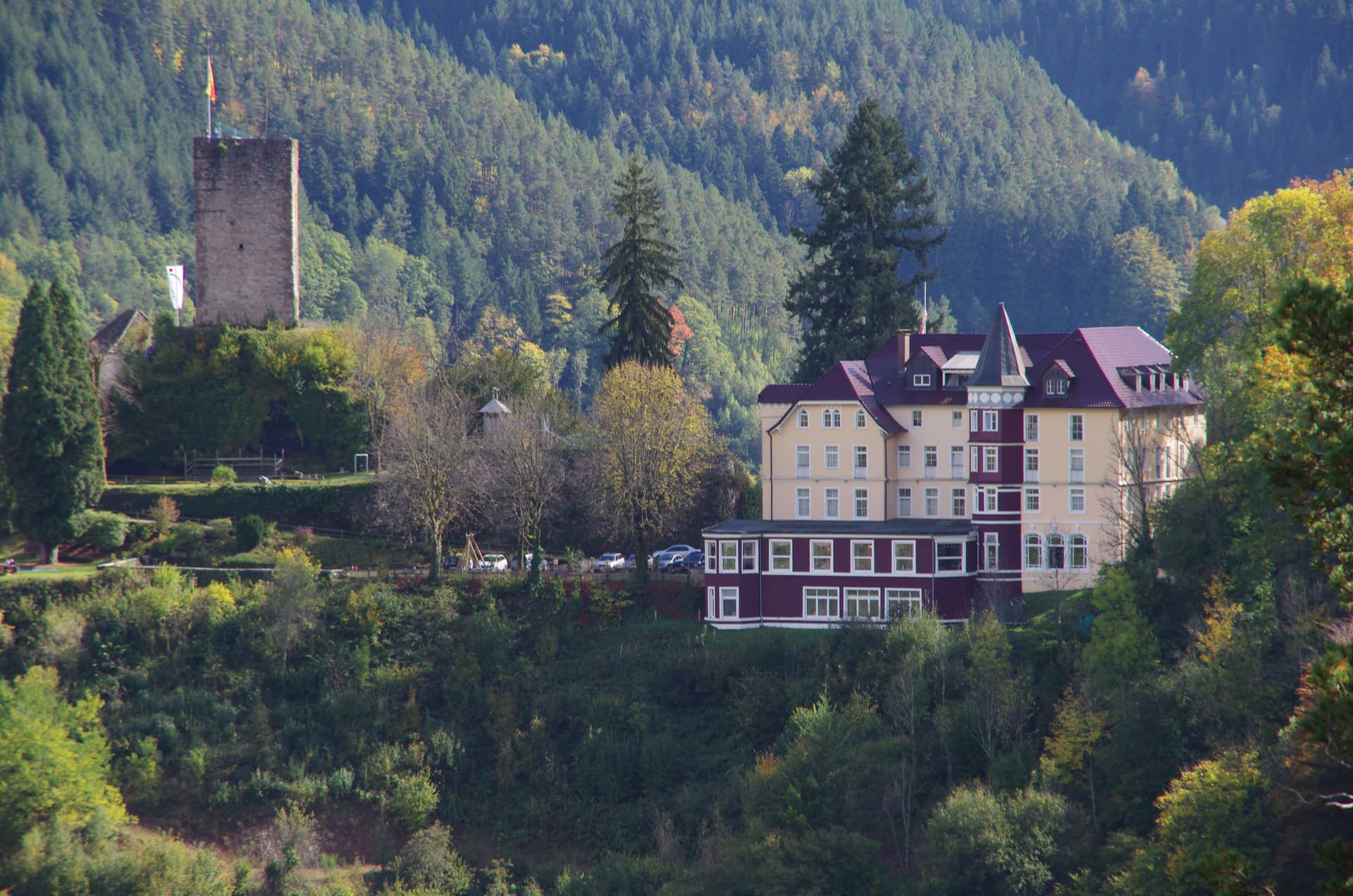 Hotel Schloss Hornberg — foto 1