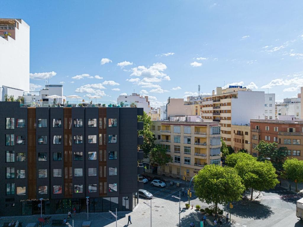 JS Palma Plaza, foto 1
