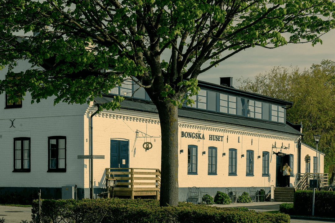 Bongska Huset