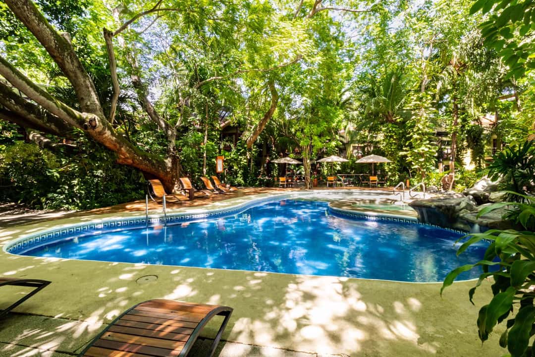 Bosque Del Mar