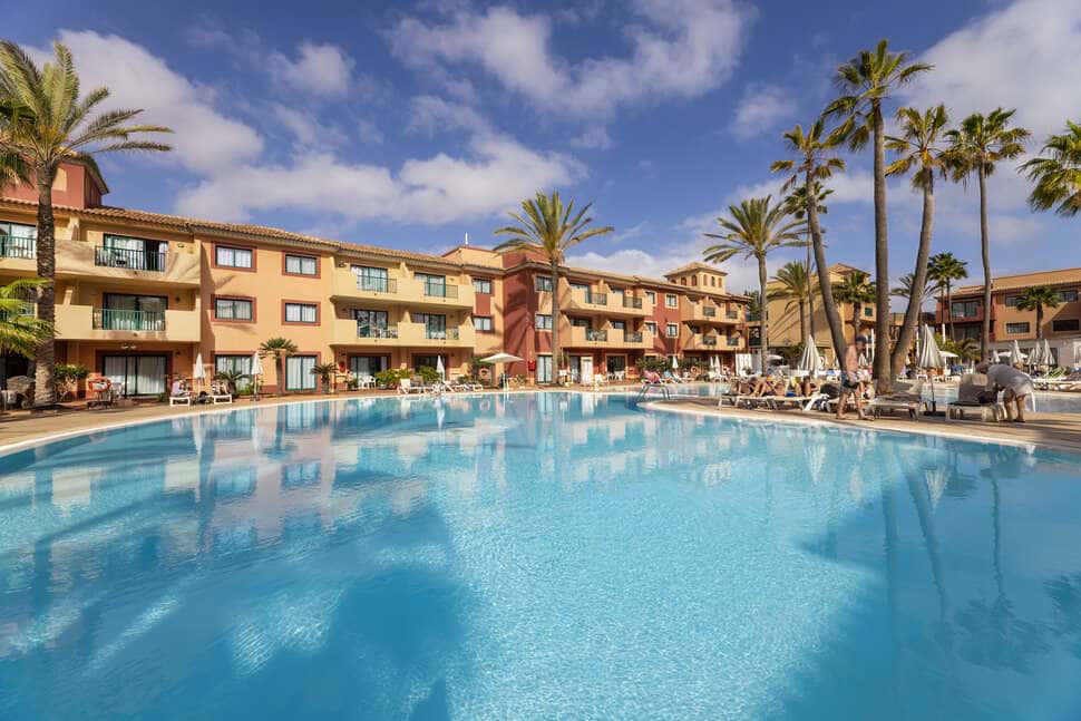 O7 Aloe Corralejo