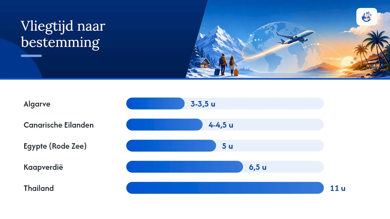 Vergelijkende infographic: de beste winterzonbestemmingen op een rij
