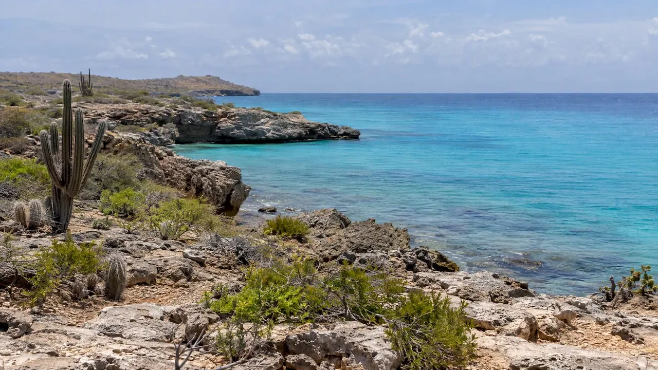 De droge kust van Bonaire naast turquoise water