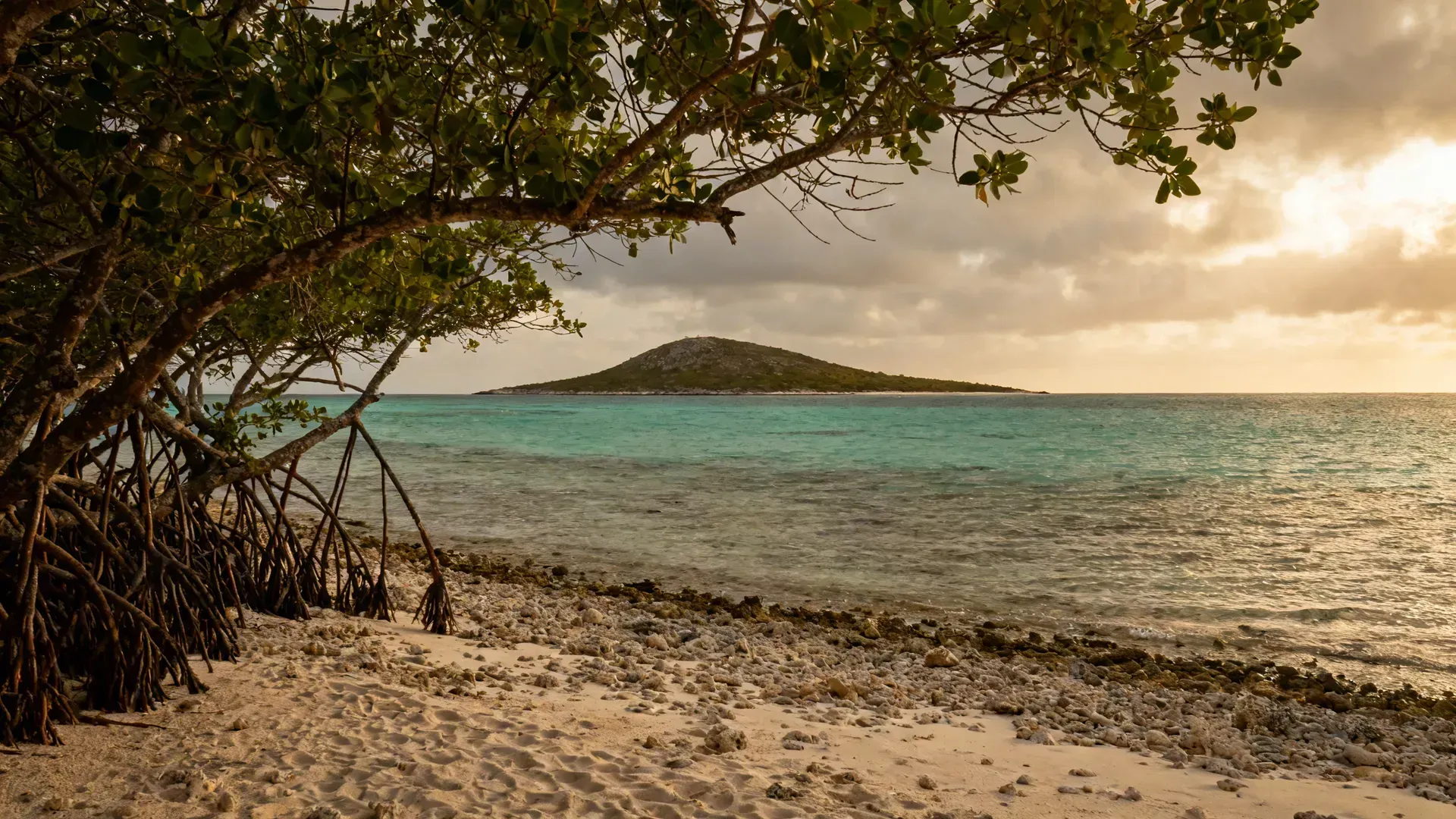 Last Minute Bonaire