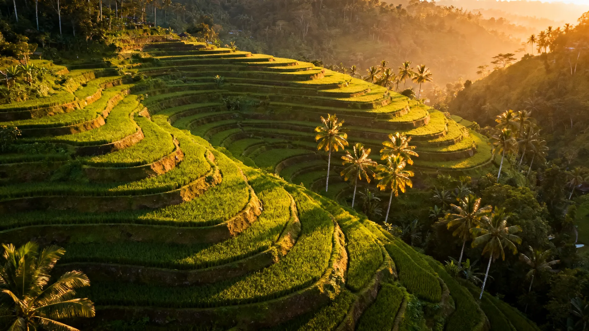 Wellness Vakantie Seminyak