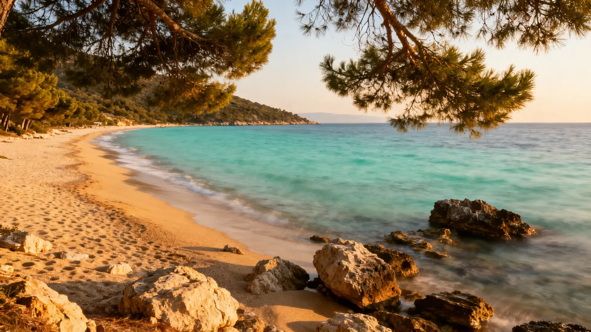 Zonvakantie Nikiti